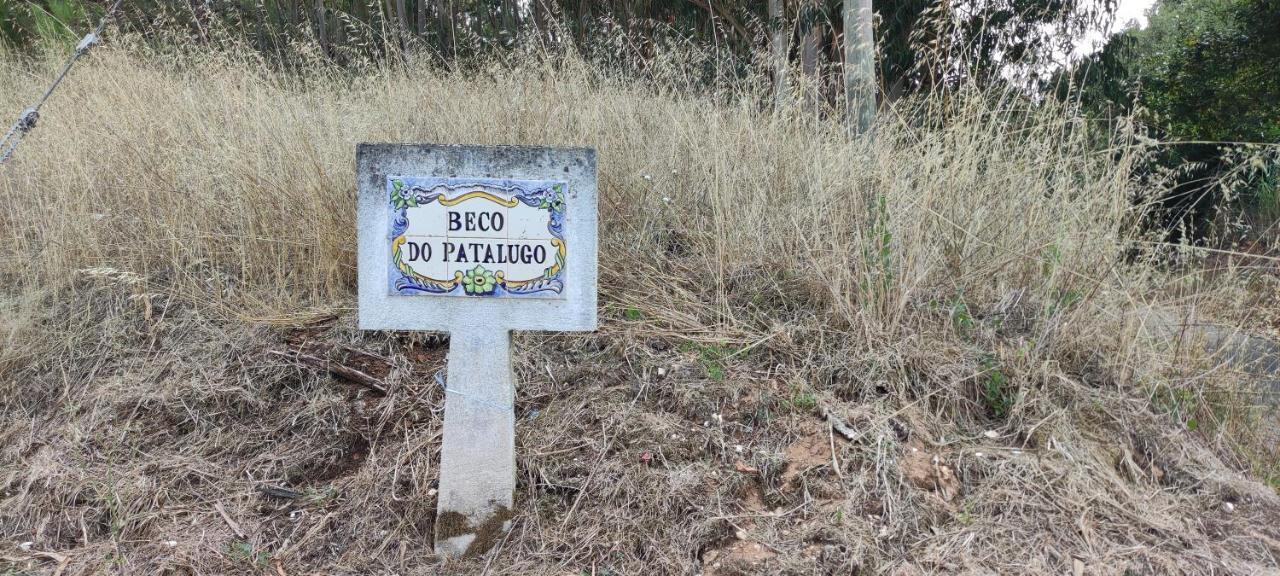 Beco Do Patalugo Apartman Salir de Matos Kültér fotó