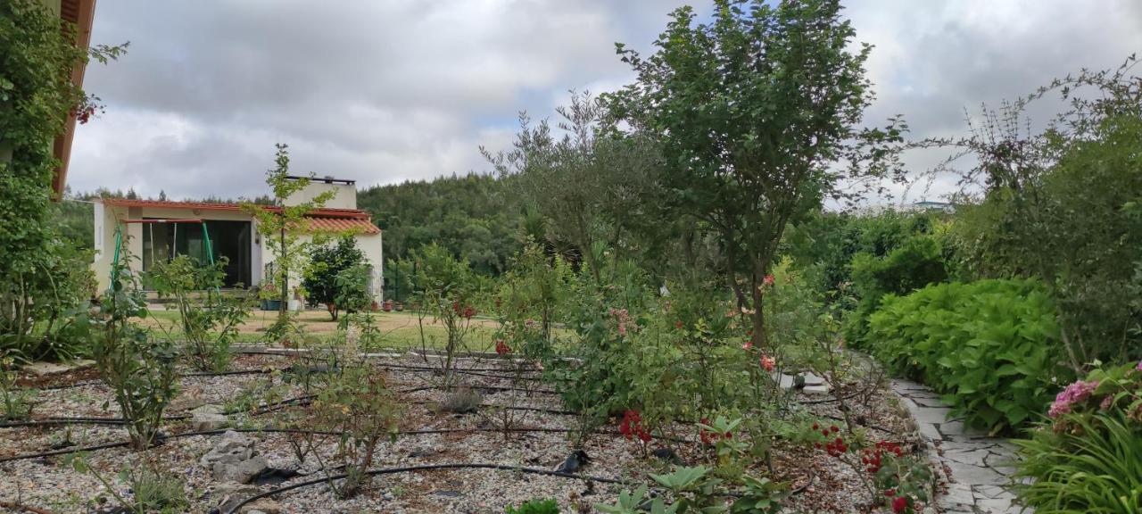 Beco Do Patalugo Apartman Salir de Matos Kültér fotó